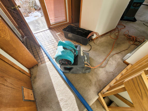 Best Water Damage Assessment and Inspection in Moscow, ID